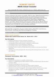 school counselor resume samples