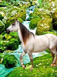 Rainforest Horse By Kodalover On Deviantart