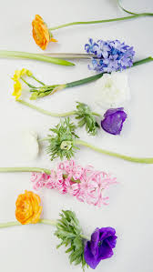 Find your perfect phone wallpaper for your iphone or android device. Free Floral Phone Wallpapers Spring Collection Bibs 2014 Capture By Lucy
