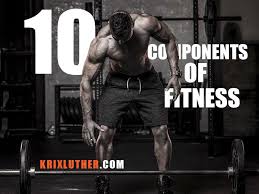 Cardiorespiratory endurance (also known as aerobic endurance, or cardiovascular fitness), muscular . 10 Components Of Fitness Gauging The Fitness Person In The World