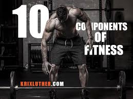 All these fitness components have a specific purpose and part in being physically fit the element of speed is involved in most of the athletic skills such as in sprint running, some skills of soccer, basketball, etc. 10 Components Of Fitness Gauging The Fitness Person In The World