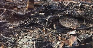 California fair plan will not deny coverage if your home is in a high fire risk area or if you've had numerous claims. Paradise Camp Fire Assistance And Resources Property Insurance Claims California Public Claims Adjuster California Ca Fair Plan Claims