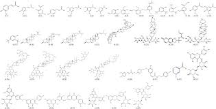 Image result for Balanites pedicellaris