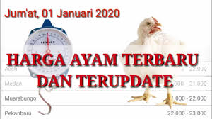 Referensi untuk harga dari ayam broiler ini memang cenderung fluktuatif. Daftar Harga Ayam Broiler Terbaru Jum At 01 Januari 2021 Youtube