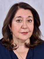 Animal rescuers evacuate a lion cub from war-torn Lebanon to South Africa