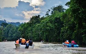 Department of wildlife and national parks. Sabah Rancang Bina Kompleks Pelancongan Di Kinabatangan Lagi Mudah Nak Tengok Habitat Hidupan Liar Alam Sekitar Lepas Ni Libur