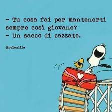 Pin By Monica On Funny Snoopy Quotes Bones Funny Sarcastic Quotes