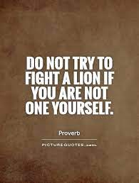 If this is something you gotta do, then you do it. Quotes On Being A Fighter Quotesgram