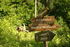 Maybe you would like to learn more about one of these? Fork In The Road Directory Trail Free Photo On Pixabay