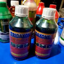 50%(2)50% found this document useful (2 votes). Promo Ampuh Membasmi Segala Macam Rumput Racun Rumput Tridaxone 1 Ltr Diskon Shopee Indonesia