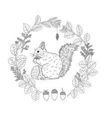 Bird and flower wreath coloring page mountain bluebird. Pin On Szinezok