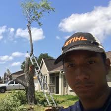 The Best 10 Lawn Services near Neftali Ochoa Landscaping in Houston, TX