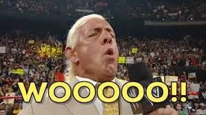 We did not find results for: Ric Flair Gifs Primo Gif Latest Animated Gifs