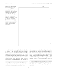 Image result for Gutenbergia rueppellii