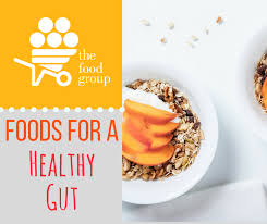 Healthy Gut Healthy Body The Food Group