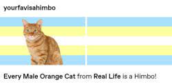 Wanderingquill Tumblr Com Tumbex