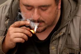 From a one-way flight to sleeping in a parking lot: A California dream gone  sour