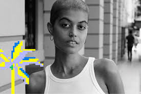 ISLAND STUDIOS Creative Agency