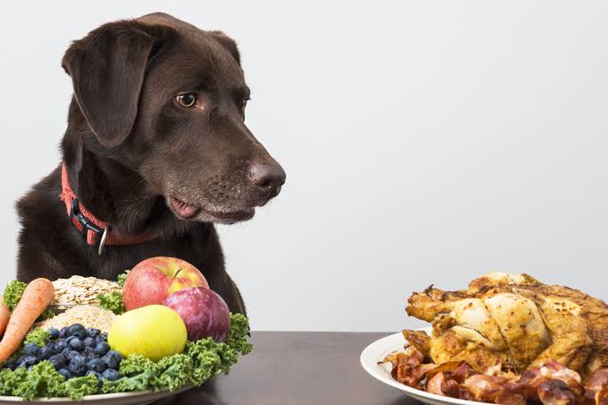 Dog owners in the UK can face jail and up to $27,000 fines
