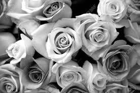 A portrait photographer who shoots black and white photos understands the powerful emotion and mood a monochrome image can portray. Black And White Roses Bouquet Stock Photo Picture And Royalty Free Image Image 10012917