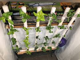 Easy to set up and get started as well as easy to maintain. Vertical Hydroponic Tower Album On Imgur