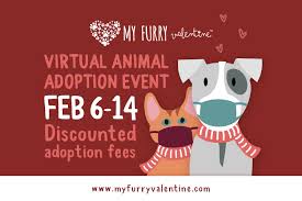 Pet adoption and foster services abound across cincinnati and northern kentucky. Cincinnati S Largest Pet Adoption Event Goes Virtual For 2021 Southwest Ohio Parent Magazine