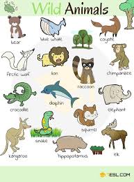 Learn Animal Names In English Eslbuzz Learning English Animals Name In English English Vocabulary Animals Wild