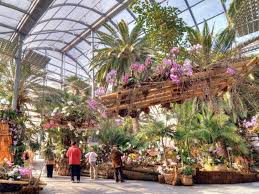 Sie wird blumeninsel genannt, die insel mainau im bodensee nahe konstanz. Orchideenschau Insel Mainau Im Palmenhaus Bodensee Fruehjahr 2013 Insel Mainau Insel Bodensee