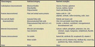 A Flow Chart On Nutrition In A Human Being Science Life