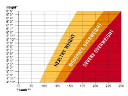 Average Men Weight Chart