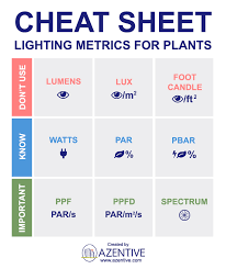 If so, then you must be looking for a growing light that can create a perfect environment for your plants and better yielding in your garden. How To Choose The Best Indoor Grow Lights For Plants