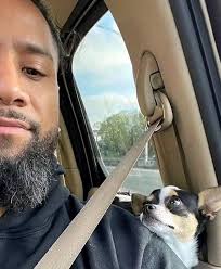 I need 50 yeet from my true fans🩵