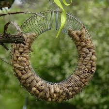 I have tried several different types of squirrel proof bird feeders and none have worked, catron said. Diy Bird Feeders Slinky Diy Bird Feeder For Peanuts