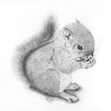 Check spelling or type a new query. Realistic Animal Drawings By A Different Type Of Art Facebook