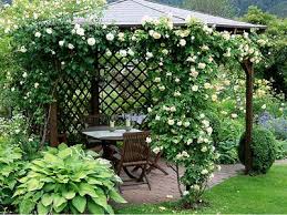 Die Schonsten Garten Bilder Aus Unserem Fotowettbewerb Romantische Rosenlaube Wohnen Garten Garten Und Outdoor Garten Schoner Garten Bilder