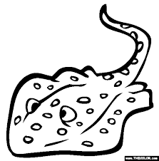 Actually, in learning with the sheets, we will discover the different characteristics of every sheet. Stingray Coloring Page Coloring Home