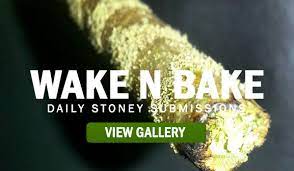 We did not find results for: Wake And Bake Quotes Quotesgram