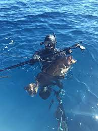 Spearfishing oahu 2020 | spearfishing hawaii 2020. Professional Diving Equipment Scuba Diving Equipment Best Scuba Regulator Swimming Goggles Cressi Blog Francisco Loffredi