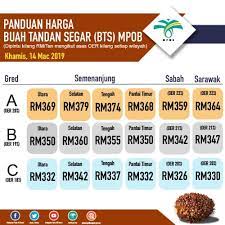 Harga kelapa sawit per kg hari ini di indonesia termasuk cukup baik dari semester pertama tahun ini. Najib Razak Saya Tengok Harga Buah Tandan Segar Sawit Facebook