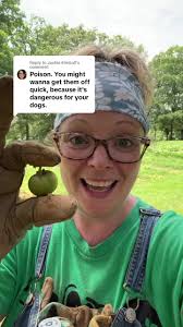 Jackie Oshry Homestead