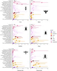 Image result for Crotonogynopsis australis