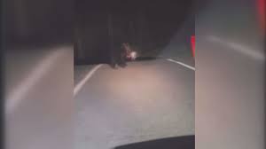 Mrs Carolina - Free Nude Pics & More at EroMe