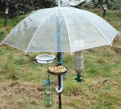 Did you scroll all this way to get facts about feeder rain cover? Pin On Birds N Ideas