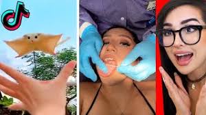 Tik toks that are worth watching youtube sssniperwolf youtube popular videos Tik Toks Worth Watching When You Re Bored Youtube