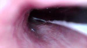 We did not find results for: Youtube Video Statistics For Messing Around Noxinfluencer