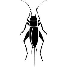 Insect cricket cartoon , material grasshopper, green grasshopper art png clipart. Cricket Insect Silhouette 12 Clipart Panda Free Clipart Images Cricket Insect Bug Tattoo Free Clip Art