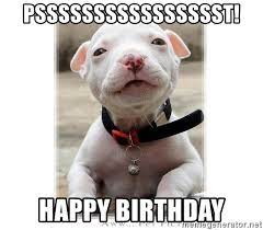 We're looking forward to experiencing all that you'll do in. Psssssssssssssssst Happy Birthday Baby Pitbull Meme Generator