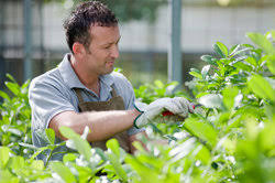 In der branche selbst wird jedenfalls von guten. Tariflohn Garten Und Landschaftsbau Hinweise