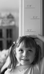 Ballot recount confirms results