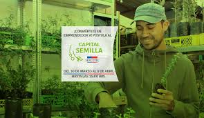 Sercotec informó que este martes 30 de marzo se abrieron las postulaciones para el capital semilla 2021, programa del gobierno que permite obtener hasta $3,5 millones para un emprendimiento. Sercotec Abre Postulaciones A Capital Semilla Para Emprendedores Infocumbre